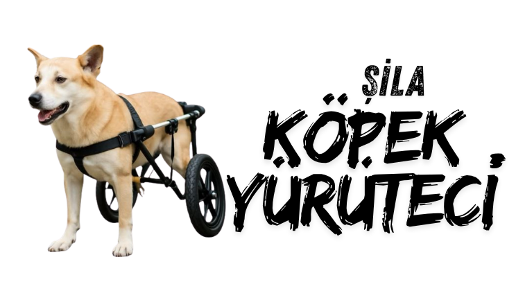 Şila Köpek Yürüteci